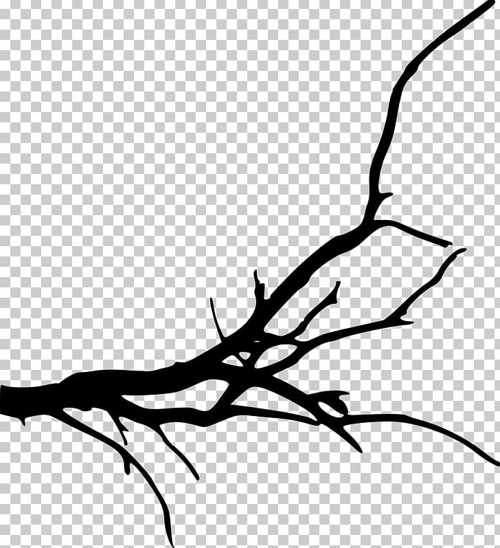 Branch Tree Silhouette PNG, Clipart, Artwork, Beak, Black, Black And White, Branch Free PNG Download