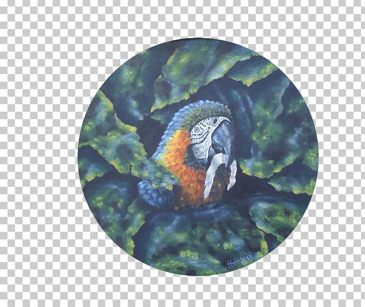 Macaw Fauna Beak Feather PNG, Clipart, Animals, Beak, Bird, Fauna, Feather Free PNG Download