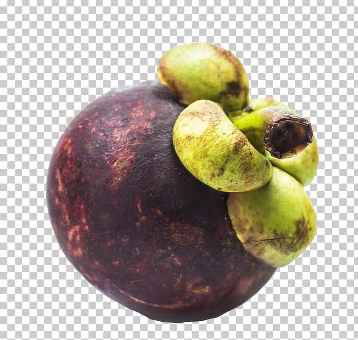Purple Mangosteen Fruit Superfood Fruchtsaft PNG, Clipart, Computer Icons, Download, Food, Fruchtsaft, Fruit Free PNG Download