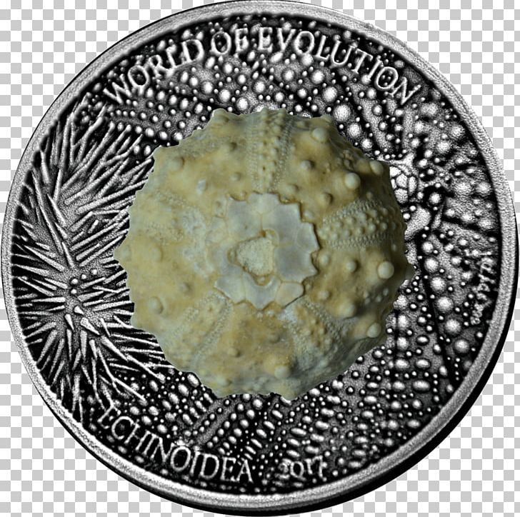 Sea Urchin Coin Sea Otter Silver Evolution PNG, Clipart, Burkina Faso, Caviar, Coin, Currency, Evolution Free PNG Download
