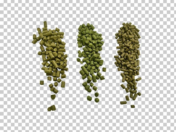 United States Tree Home-Brewing & Winemaking Supplies Hops Pelletizing PNG, Clipart, Americans, Amp, Beer Brewing Grains Malts, Chinook, Home Brewing Free PNG Download