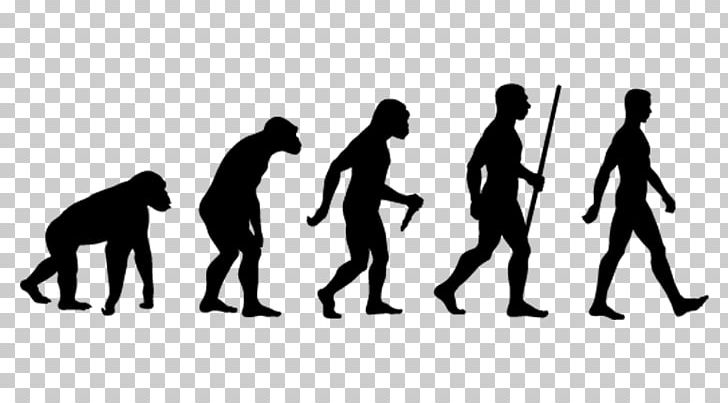 Human Evolution Evolutionary Biology Homo Sapiens Darwinism PNG, Clipart, Biology, Black, Charles Darwin, Communication, Darwinism Free PNG Download