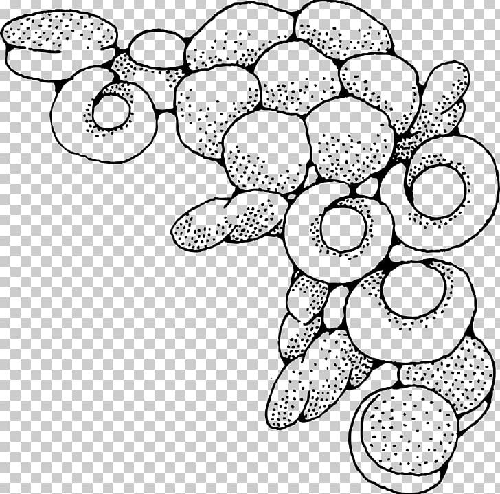 Bagel Small Bread PNG, Clipart, Area, Artwork, Bagel, Black And White, Bread Free PNG Download