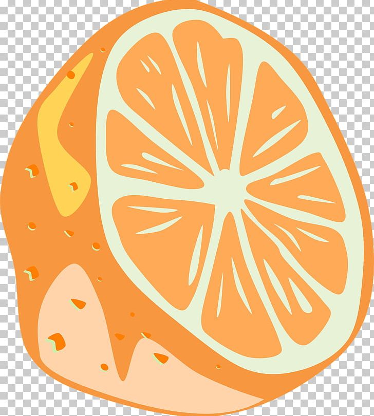 Lemon Key Lime PNG, Clipart, Animation, Area, Artwork, Circle, Citrus Free PNG Download