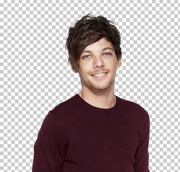 Louis Tomlinson Just Hold On One Direction Desktop PNG, Clipart, Brown Hair, Cheek, Chin, Desktop Wallpaper, Forehead Free PNG Download