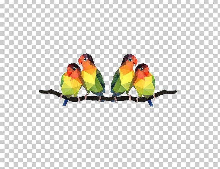 Lovebird Parrot Illustration PNG, Clipart, Adobe Illustrator, Animal, Animals, Balloon Cartoon, Beak Free PNG Download