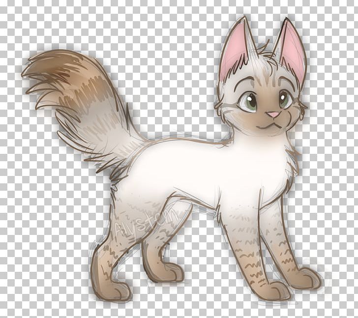 Whiskers Kitten Cat Canidae Dog PNG, Clipart, Animals, Canidae, Carnivoran, Cartoon, Cat Free PNG Download