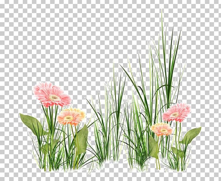Floral Design Portable Network Graphics Grasses Flower PNG, Clipart, Desktop Wallpaper, Digital Image, Floral Design, Floristry, Flower Free PNG Download
