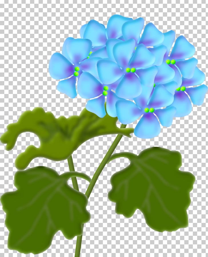 Flower Lantana Camara PNG, Clipart, Art, Bulletin Board, Clip Art, Drawing, Floral Design Free PNG Download