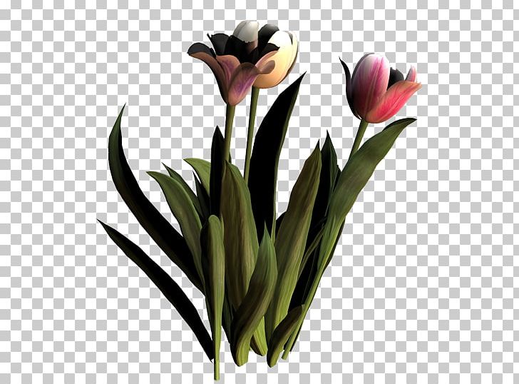 Tulip Floristry Cut Flowers Petal Plant Stem PNG, Clipart, Cicekler, Cut Flowers, Floristry, Flower, Flowering Plant Free PNG Download