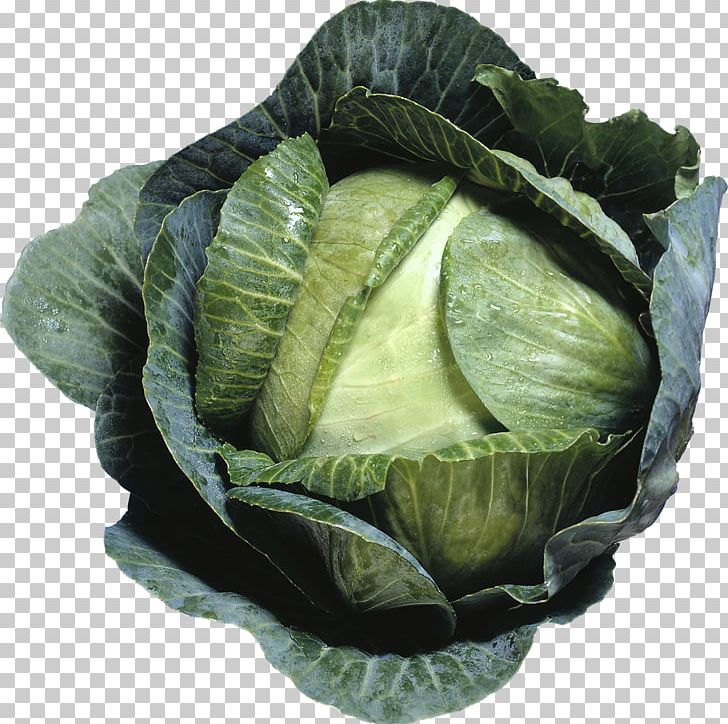 Cabbage Cauliflower Brussels Sprout Broccoli Coleslaw PNG, Clipart, Bra, Broccoflower, Broccoli, Brussels Sprout, Cabbage Free PNG Download