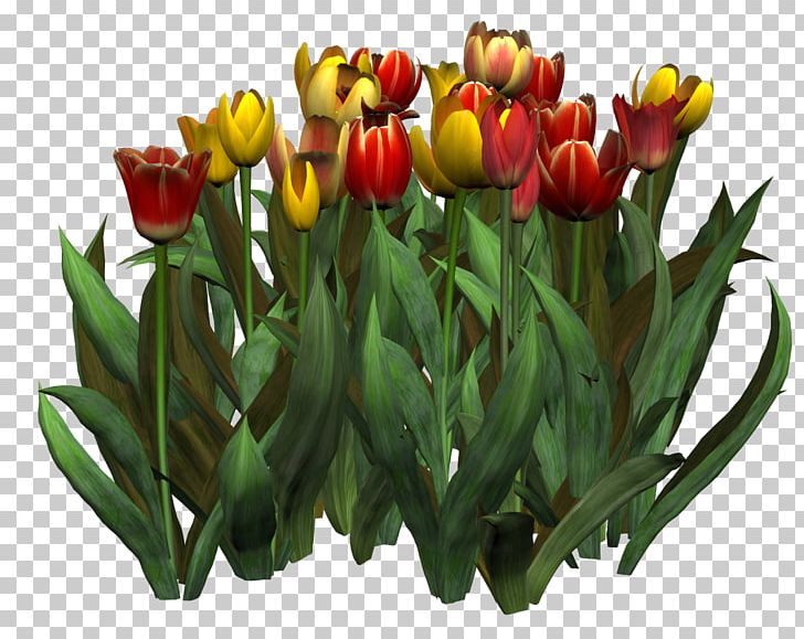 Tulip Flower Painting PNG, Clipart, Autumn, Cut Flowers, Floral Design, Floristry, Flower Free PNG Download