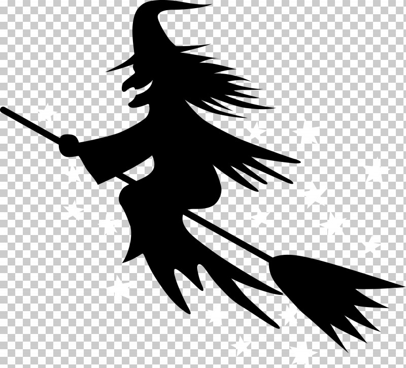 Feather PNG, Clipart, Beak, Black M, Black White M, Character, Character Created By Free PNG Download
