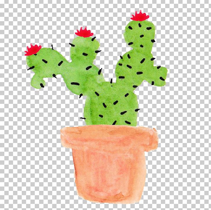 Cactaceae Prickly Pear Plant Paper PNG, Clipart, Cactaceae, Cactus, Caryophyllales, Desktop Wallpaper, Echinocereus Free PNG Download