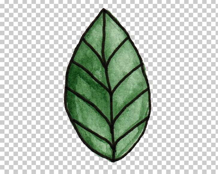 Cartoon Drawing PNG, Clipart, Animated Cartoon, Animation, Autumn Leaves, Banana Leaves, Cartoon Free PNG Download