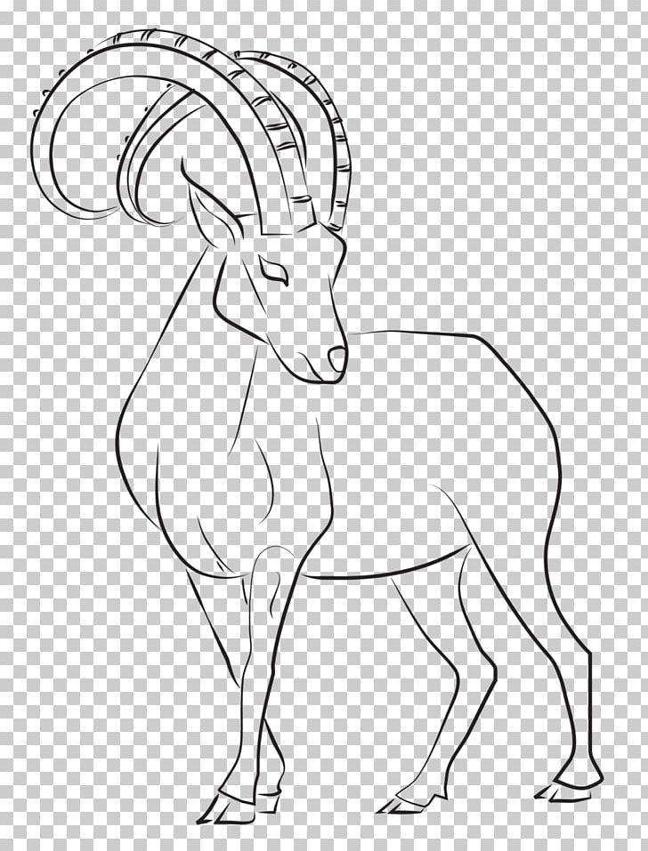 Line Art Drawing Goat Alpine Ibex Nubian Ibex PNG, Clipart, Animal Figure, Animals, Art, Artwork, Black And White Free PNG Download