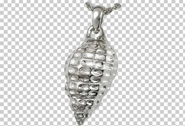 Locket Jewellery Charms & Pendants Necklace Charm Bracelet PNG, Clipart, Bail, Body Jewelry, Bracelet, Charm Bracelet, Charms Pendants Free PNG Download