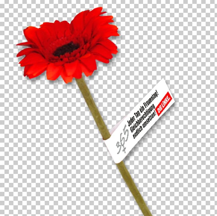 Social Equality Society Paper Transvaal Daisy The Left PNG, Clipart,  Free PNG Download