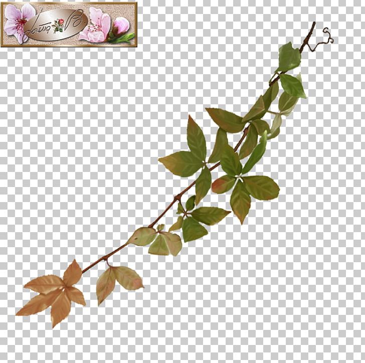 Twig Flowering Plant Plant Stem Leaf PNG, Clipart, Autumn Wreathwatercolor, Branch, Flower, Flowering Plant, Leaf Free PNG Download