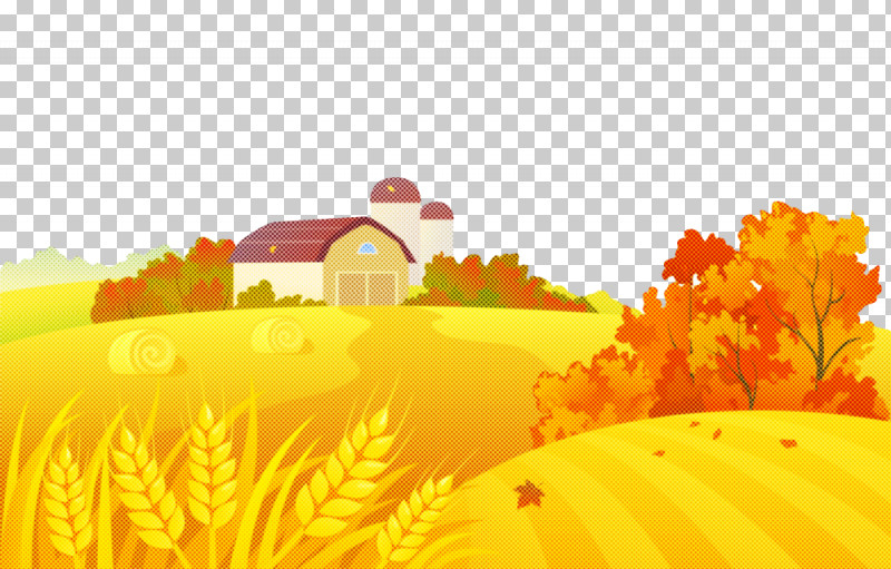 Orange PNG, Clipart, Animation, Field, Flower, Landscape, Nature Free PNG Download