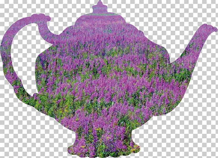 Lavender Flowerpot PNG, Clipart, Flower, Flowerpot, Grass, Ivan Tea, Lavender Free PNG Download