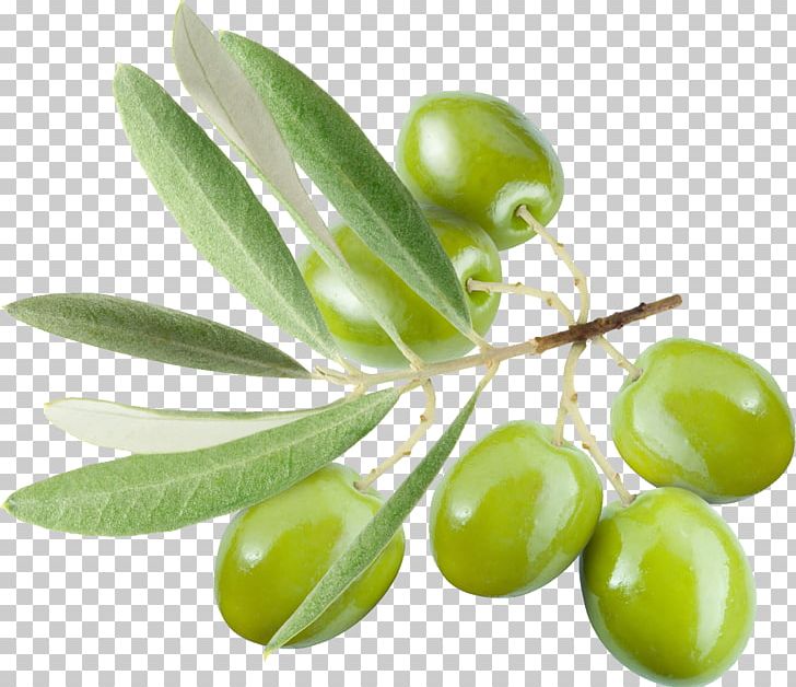 Olive Leaf Olive Oil PNG, Clipart, Food, Free, Fruit, Ingredient, Oil Free PNG Download