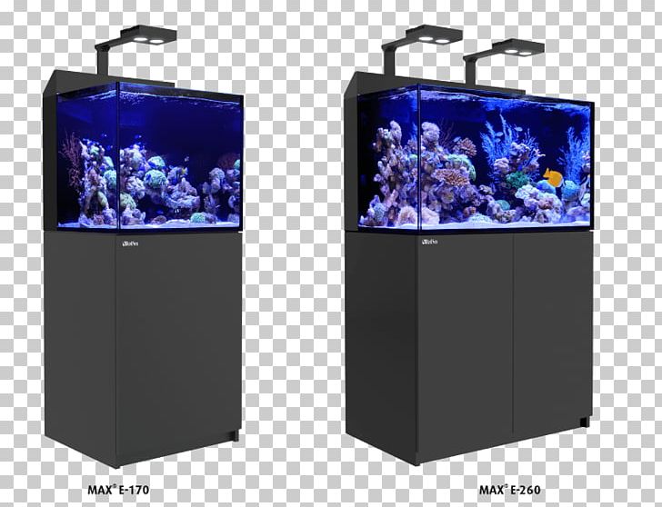 Reef Aquarium Coral Reef Red Sea PNG, Clipart, Aquarium, Aquatic Animal, Art, Cobalt Blue, Coral Free PNG Download