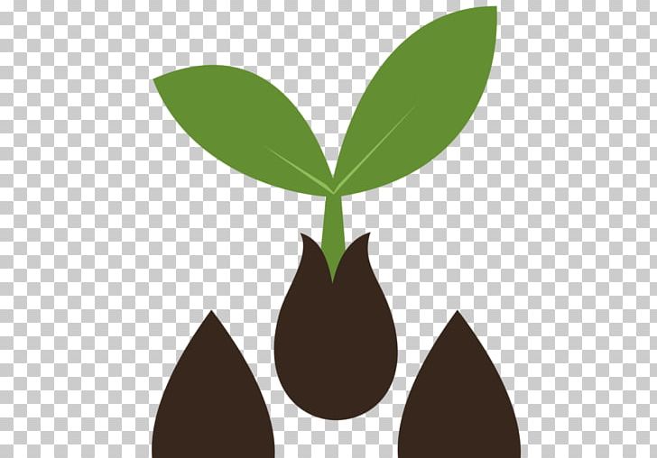 Seed Heirloom Plant Sprouting Sowing Home Shop 18 PNG, Clipart, Chili Pepper, Garden, Grass, Heirloom Plant, Home Shop 18 Free PNG Download