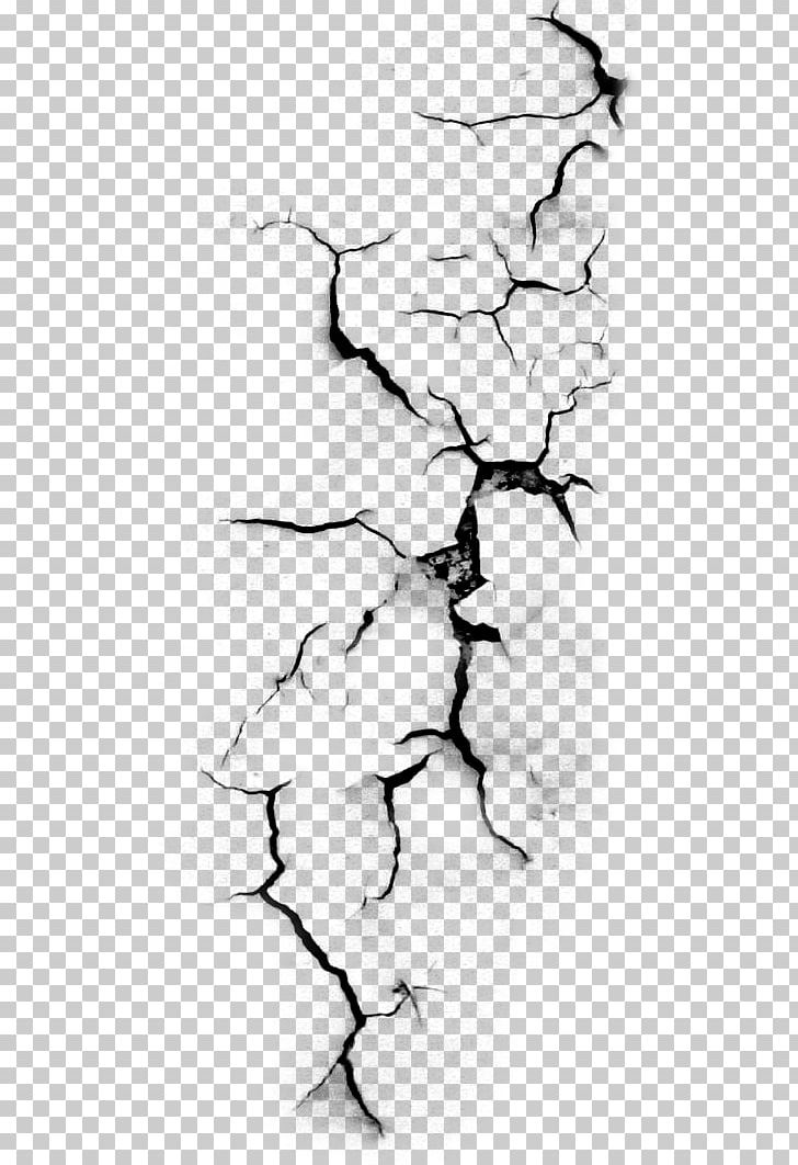 Wall PNG, Clipart, Artwork, Black, Black And White, Branch, Clip Art Free PNG Download