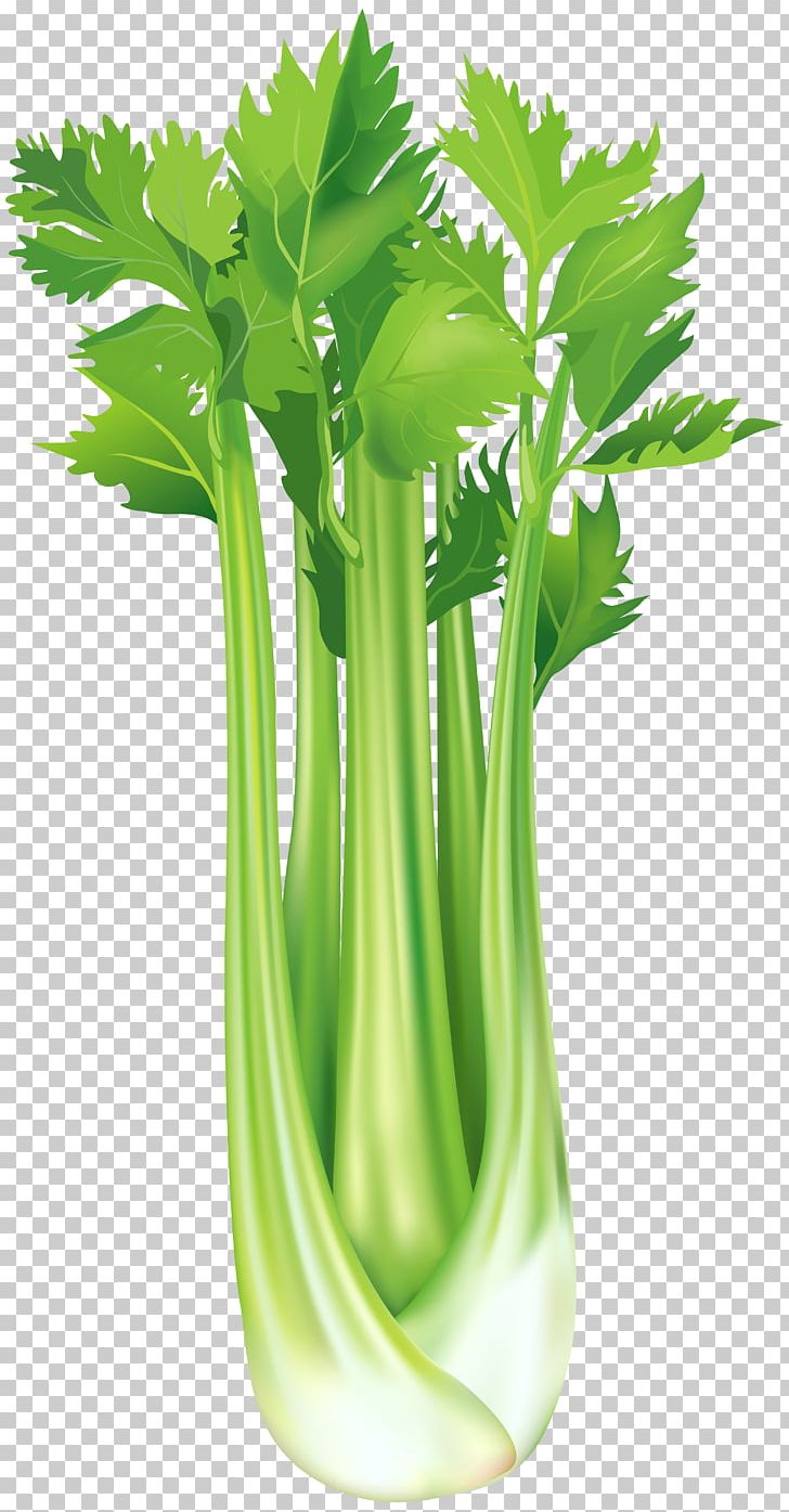 Celeriac Vegetable PNG, Clipart, Carrot, Celeriac, Celery, Clipart, Clip Art Free PNG Download