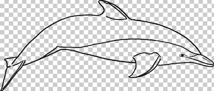 Coloring Book Dolphin Drawing PNG, Clipart, Angle, Animals, Beak, Black And White, Child Free PNG Download