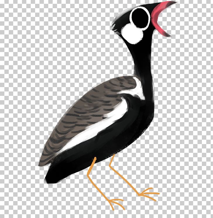 Goose Wader Cygnini Duck Water Bird PNG, Clipart, Beak, Bird, Charadriiformes, Cygnini, Demoiselle Crane Free PNG Download