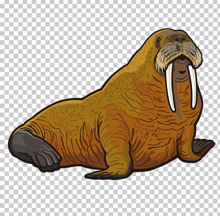 Cartoon Walrus Vector for Free Download | FreeImages