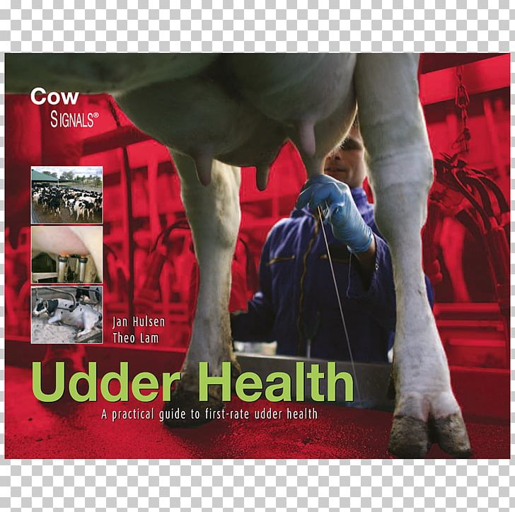 Cattle Calf Book Udder CowSignals Training Company PNG, Clipart, Advertising, Average, Book, Brand, Breast Free PNG Download