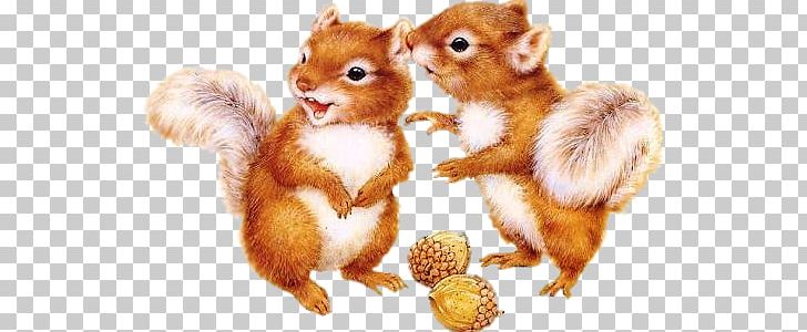Flying Squirrel Animation PNG, Clipart, Animal, Animals, Animation, Blog, Chipmunk Free PNG Download