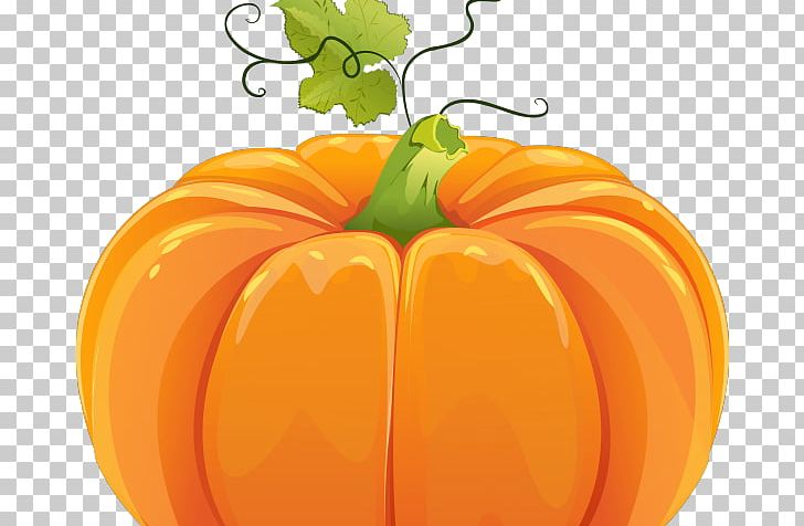 Field Pumpkin Graphics Portable Network Graphics PNG, Clipart, Bell Pepper, Bell Peppers And Chili Peppers, Calabaza, Cucurbita, Diet Food Free PNG Download