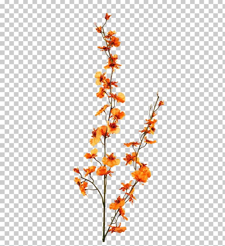Flower Red PNG, Clipart, Art, Bouquet, Branch, Computer Network, Creative Free PNG Download