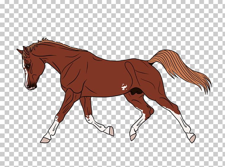 Mustang Foal Stallion Mare Colt PNG, Clipart, Animal Figure, Bab, Bridle, Colt, Foal Free PNG Download
