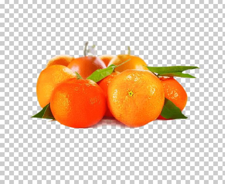 Clementine Tangerine Mandarin Orange Tangelo Blood Orange PNG, Clipart, Affair, Bitter Orange, Blood Orange, Choco, Choco Crunch Free PNG Download