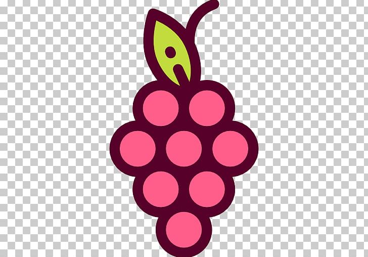 Common Grape Vine Fruit PNG, Clipart, Berry, Cherry, Circle, Clip Art, Common Grape Vine Free PNG Download