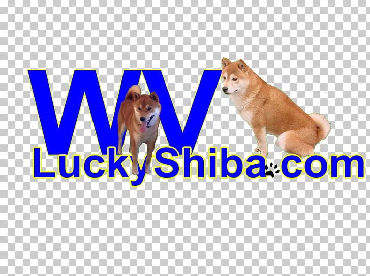 Dog Breed Puppy Shiba Inu Snout PNG, Clipart, Advertising, Brand, Breed, Carnivoran, Dog Free PNG Download