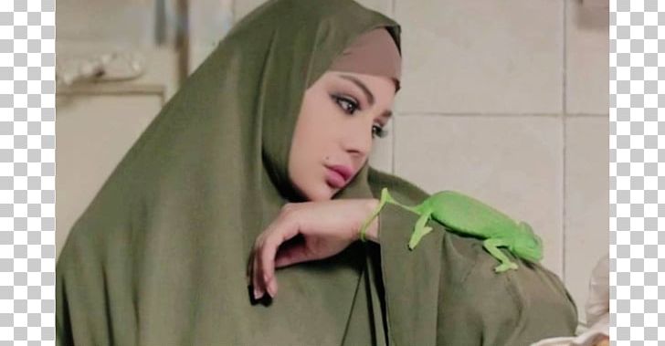 Haifa Wehbe Al Herbaya Hijab Lebanon PNG, Clipart, Artist, Egyptians, Girl, Green, Haifa Wehbe Free PNG Download
