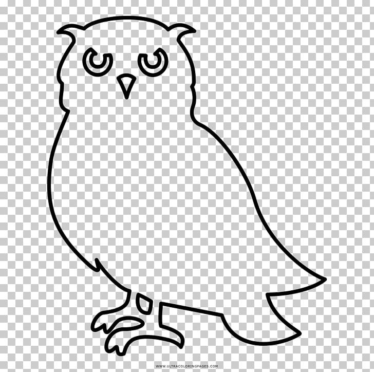 Little Owl Black And White Drawing Coloring Book PNG, Clipart, Animals, Art, Beak, Bird, Bird Of Prey Free PNG Download