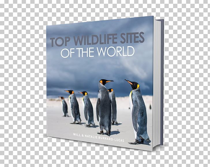 Top Wildlife Sites Of The World Wildlife Photography Leopard PNG, Clipart, Advertising, Amazoncom, Australia, Bird, Book Free PNG Download