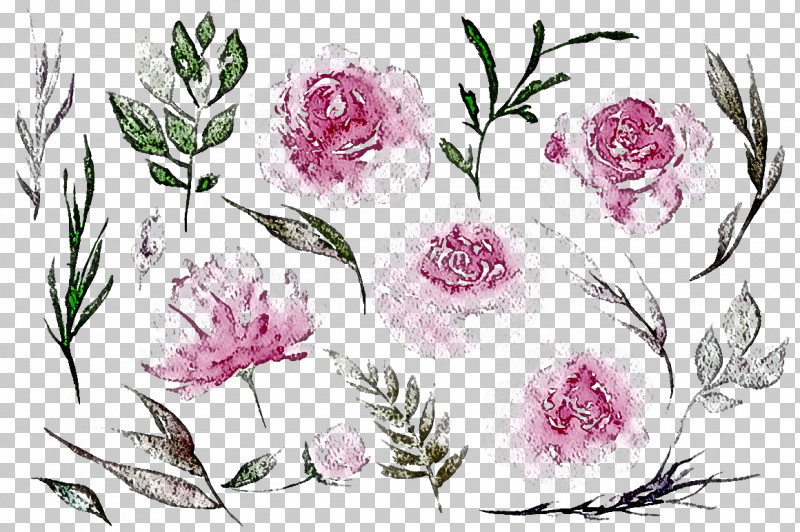 Flower Plant Pedicel Subshrub Pattern PNG, Clipart, Flower, Pedicel, Pink Family, Plant, Subshrub Free PNG Download
