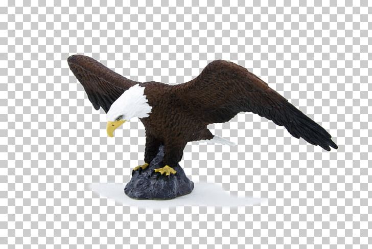 Bald Eagle African Wild Dog American Black Bear Bird Horse PNG, Clipart, Accipitridae, Accipitriformes, Action Toy Figures, African Elephant, African Wild Dog Free PNG Download
