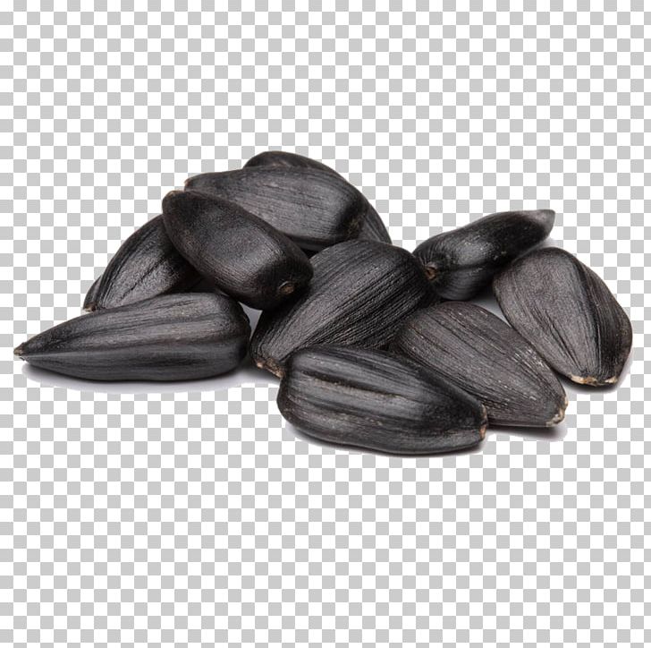 Common Sunflower Sunflower Seed Kuaci PNG, Clipart, Adobe Illustrator, Background Black, Black And White, Black Background, Black Board Free PNG Download