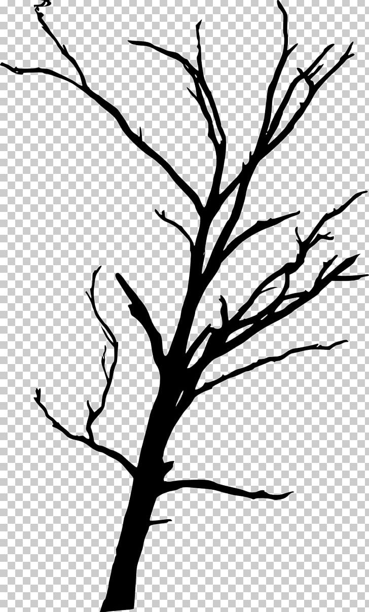 Tree Branch Woody Plant PNG, Clipart, Artwork, Beak, Black And White, Branch, Dead Tree Free PNG Download