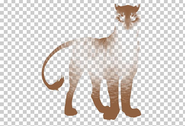 Whiskers Tiger Cat Fur Terrestrial Animal PNG, Clipart,  Free PNG Download