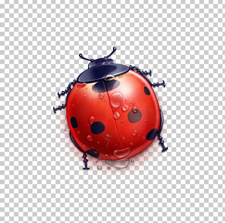 Ladybug PNG, Clipart, Beetle, Chart, Computer Graphics, Cute Ladybug, Download Free PNG Download
